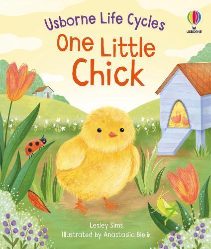 Lesley Sims One Little Chick (Libro di cartone) Life Cycles