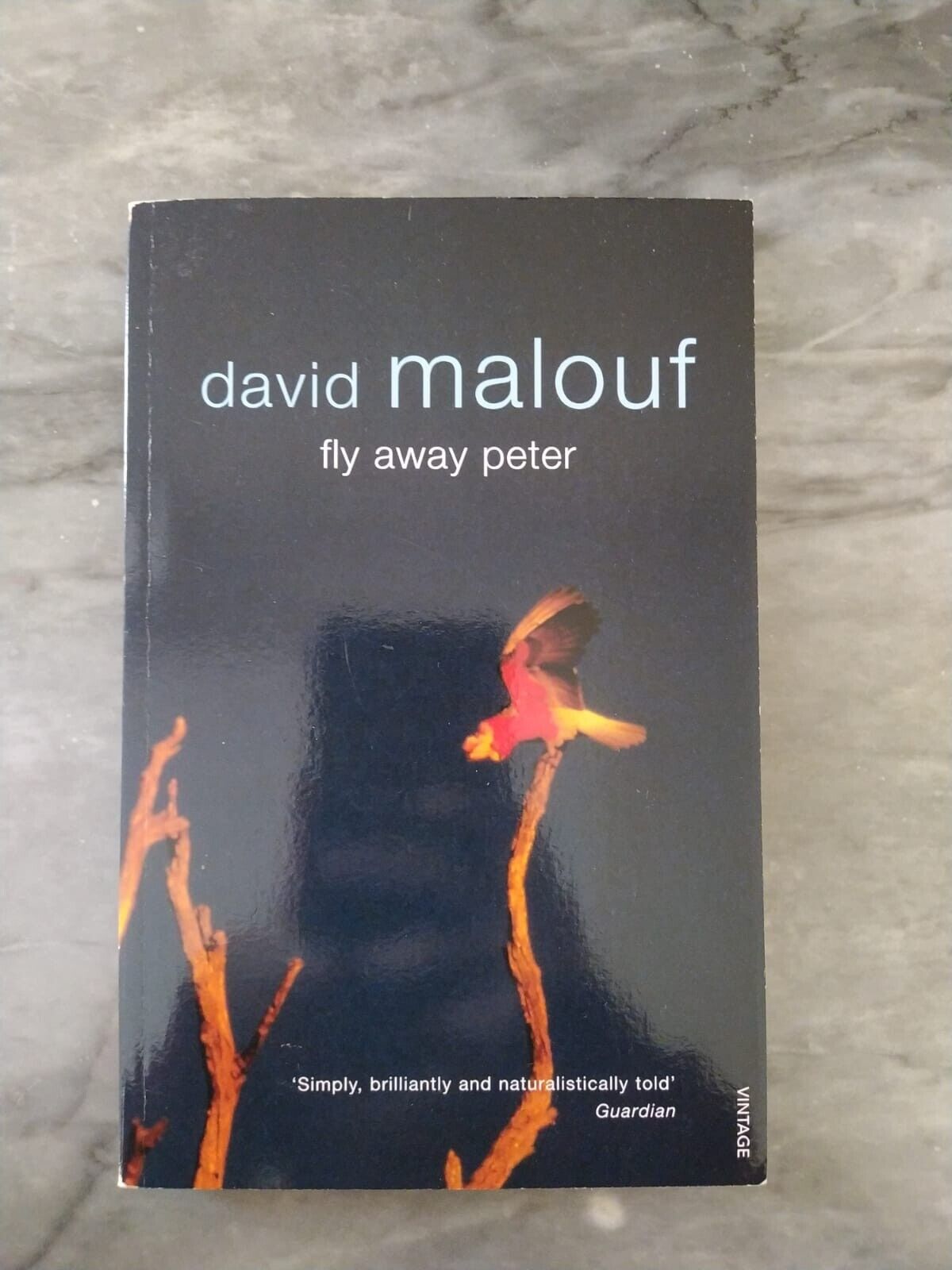 Fly Away Peter - David Malouf libro