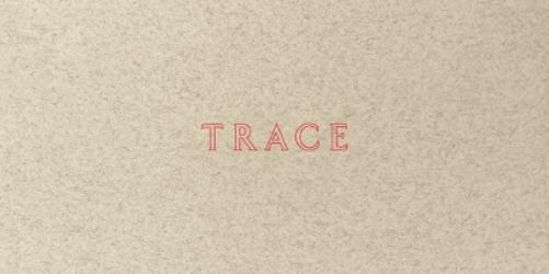 Jenny Holzer Jenny Holzer: Trace (Tascabile) (PRESALE 15/08/2024)