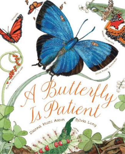 Dianna Hutts Aston A Butterfly Is Patient (Tascabile)