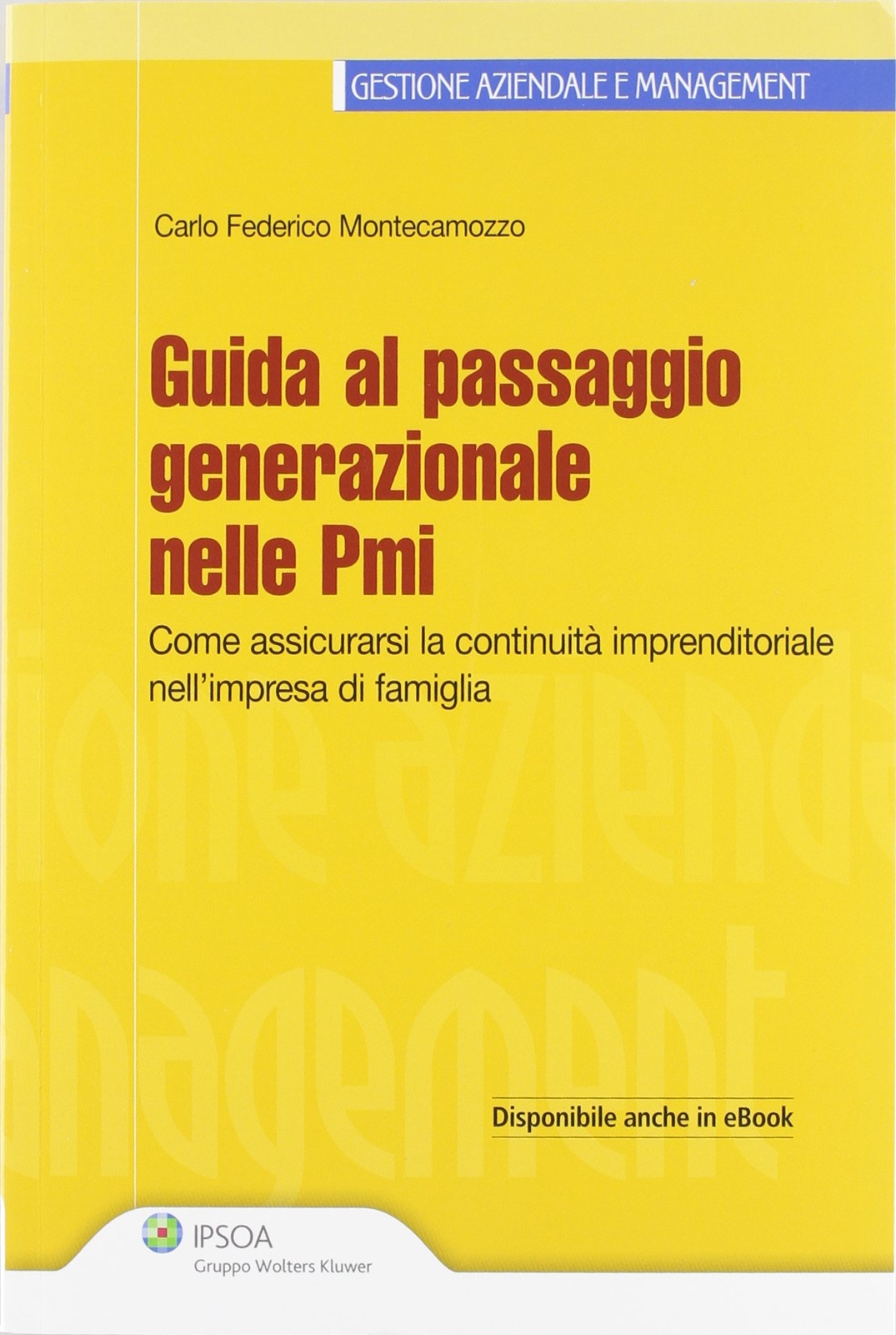 9788821738272 Guida al passaggio generazionale delle PMI - GESTIONE AZIENDALE E