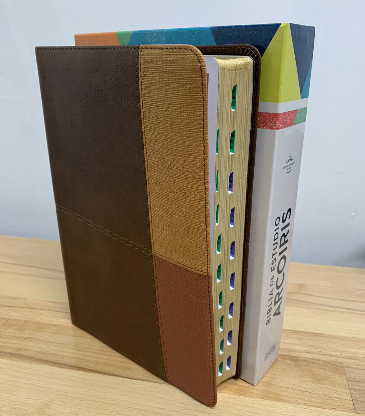 Biblia: Rvr 1960 Biblia De Estudio Chitarra Acustica Arcoiris,Cacao/Terracotta