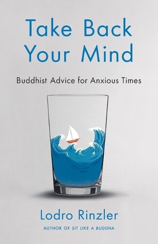 Lodro Rinzler Take Back Your Mind (Tascabile)
