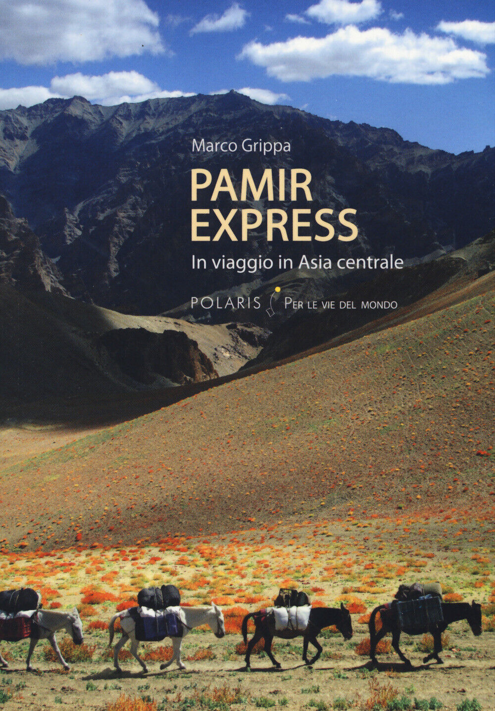 Pamir express. In viaggio in Asia centrale - Grippa Marco