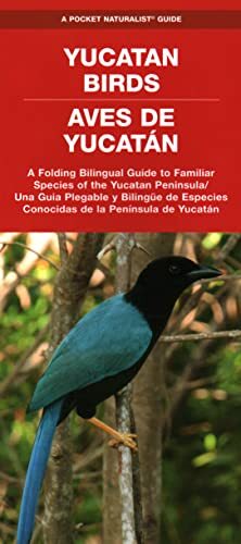 Waterford Press Yucatan Birds/Aves de Yucatan (opuscolo) Pocket Naturalist Guide