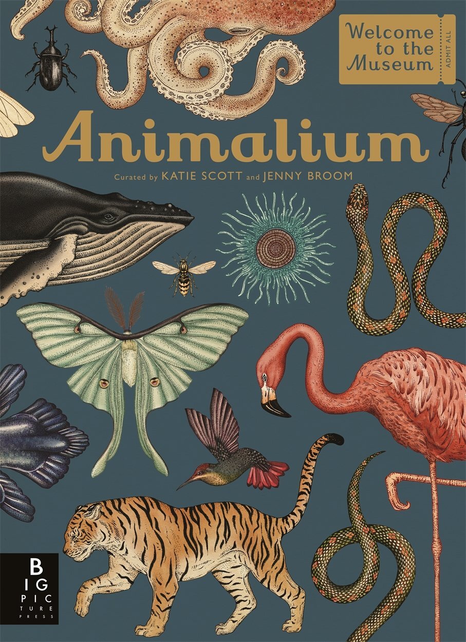 9781787411647 Animalium - Jenny Broom,Katie Scott