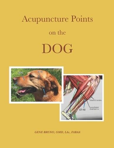 Gene C Bruno Acupuncture Points on the Dog (Tascabile)