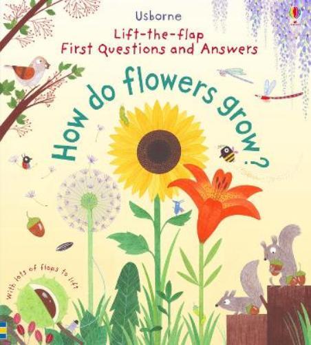 Katie Daynes First Questions and Answers: How do flowers grow (Libro di cartone)