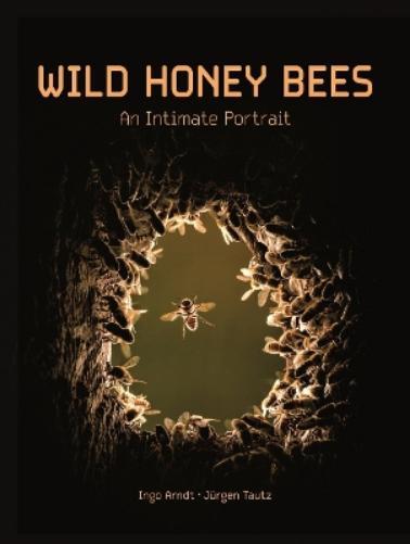 Jürgen Tautz Ingo Arndt Wild Honey Bees (Copertina rigida)