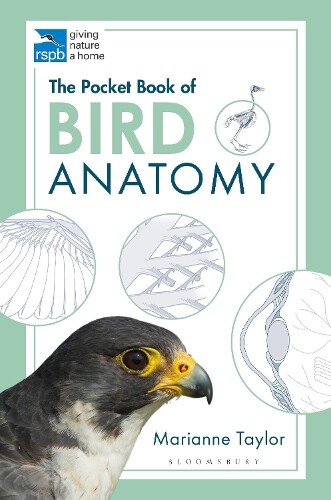 Marianne Taylor The Pocket Book of Bird Anatomy (Tascabile) RSPB