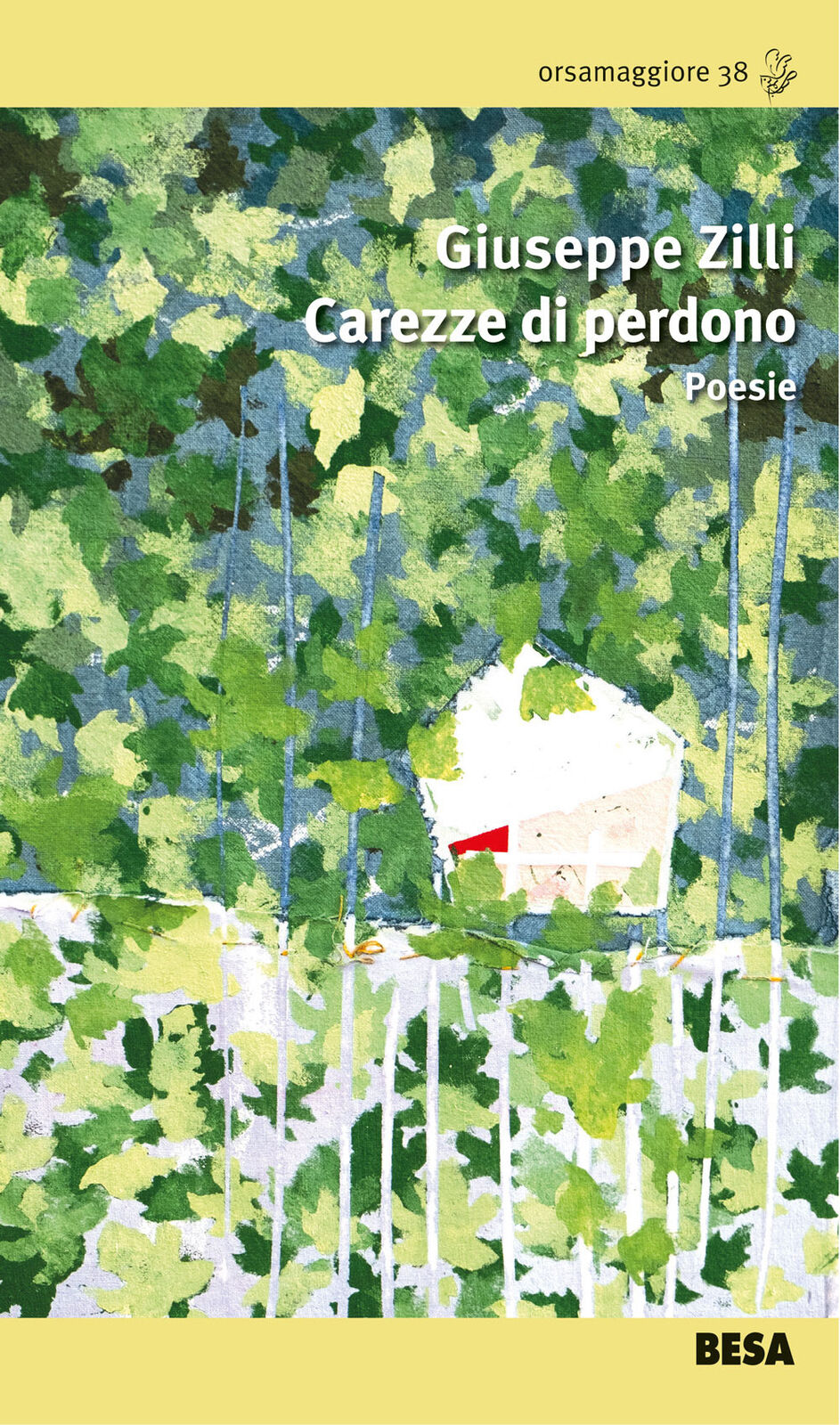 Carezze di perdono - Zilli Giuseppe