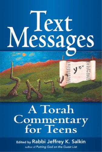Rabbi Jeffrey K. Salkin Text Messages (Tascabile)