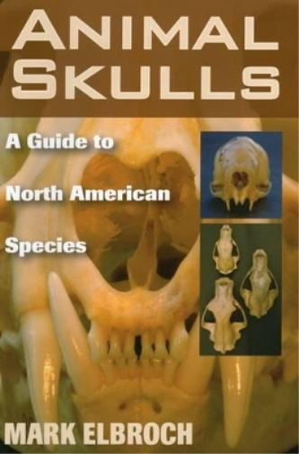 Lawrence Mark Elbroch Animal Skulls (Tascabile)