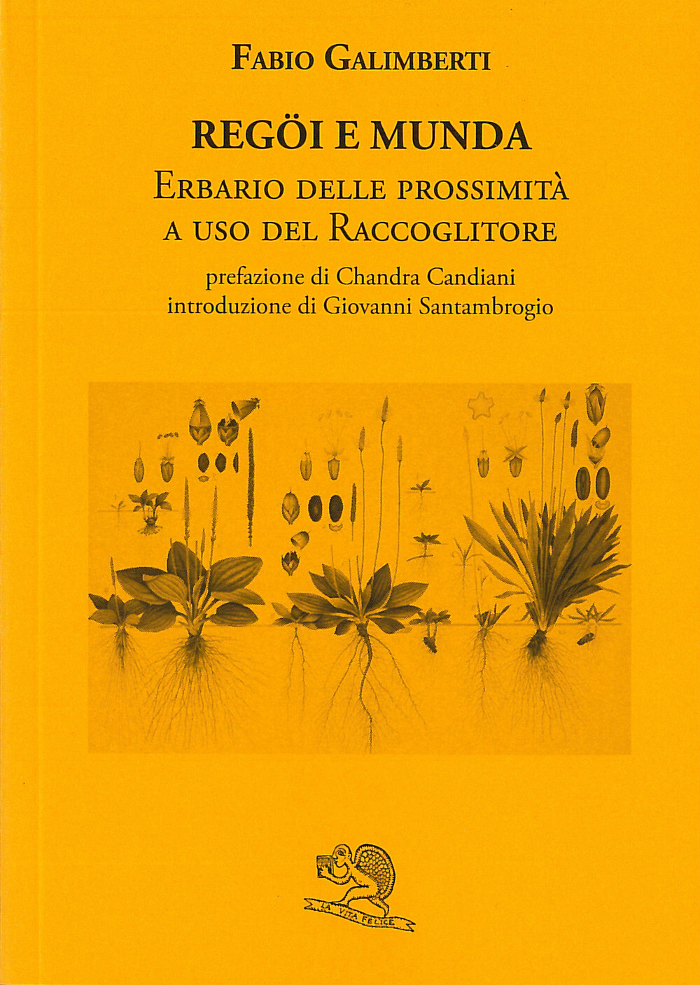 Libri Fabio Galimberti - Regoi E Munda. Erbario Delle Prossimita A Uso Del Racco
