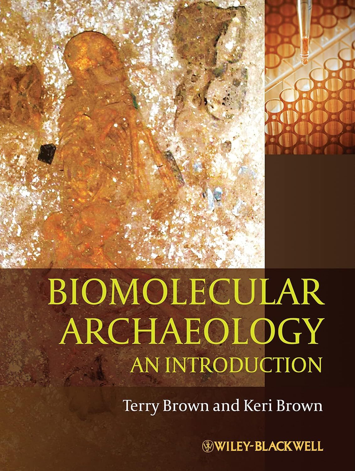 9781405179607 Biomolecular Archaeology - An Introduction - T. A. Brown
