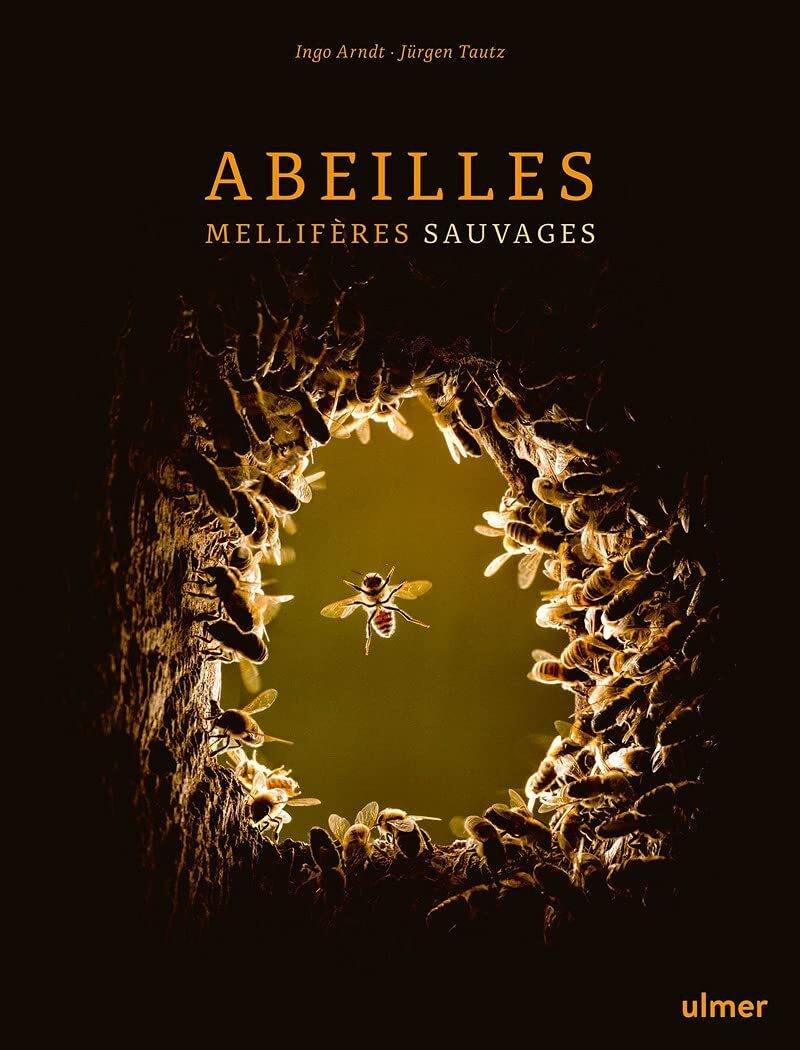 9782379221743 Abeilles mellifères sauvages - Jürgen Tautz,Thomas D. Seeley,Ing