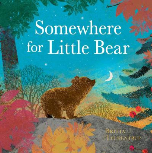 Britta Teckentrup Somewhere for Little Bear (Copertina rigida)