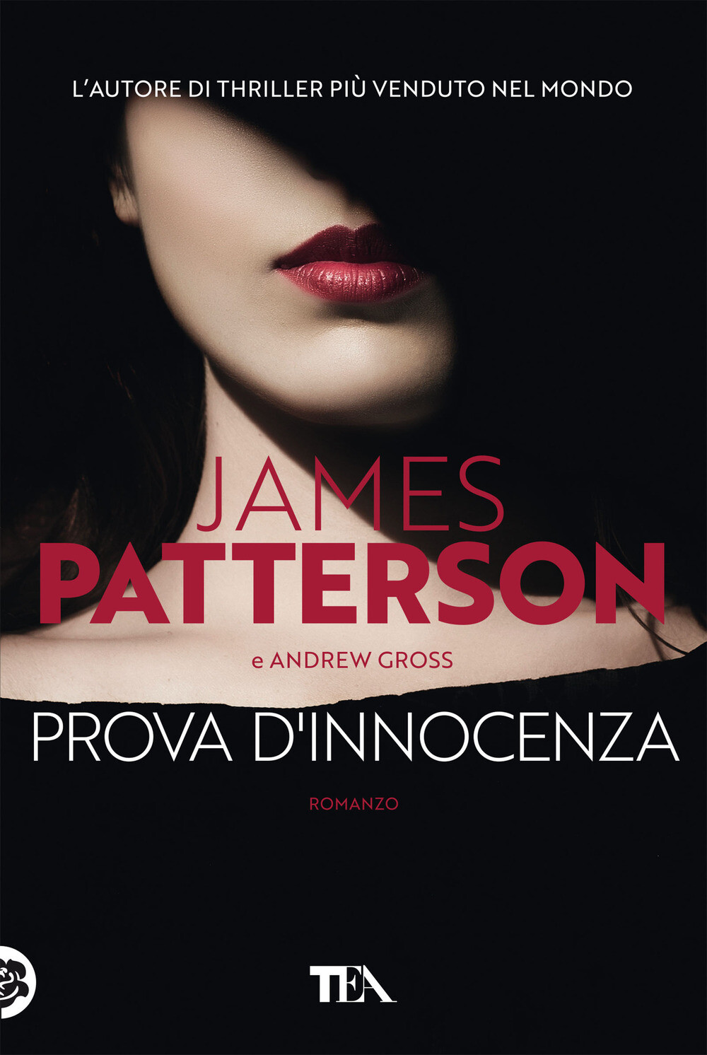 Libri James Patterson / Andrew Gross - Prova D'innocenza