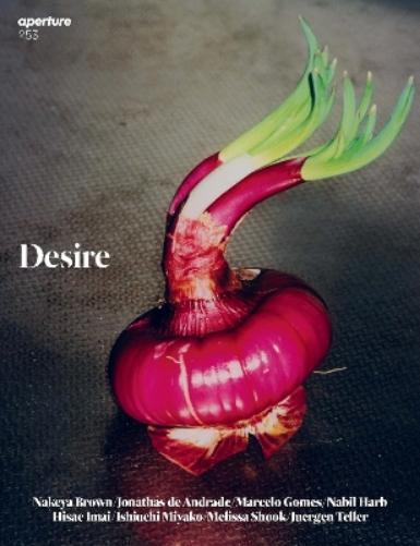 Aperture Desire: Aperture 253 (Tascabile) Aperture Magazine