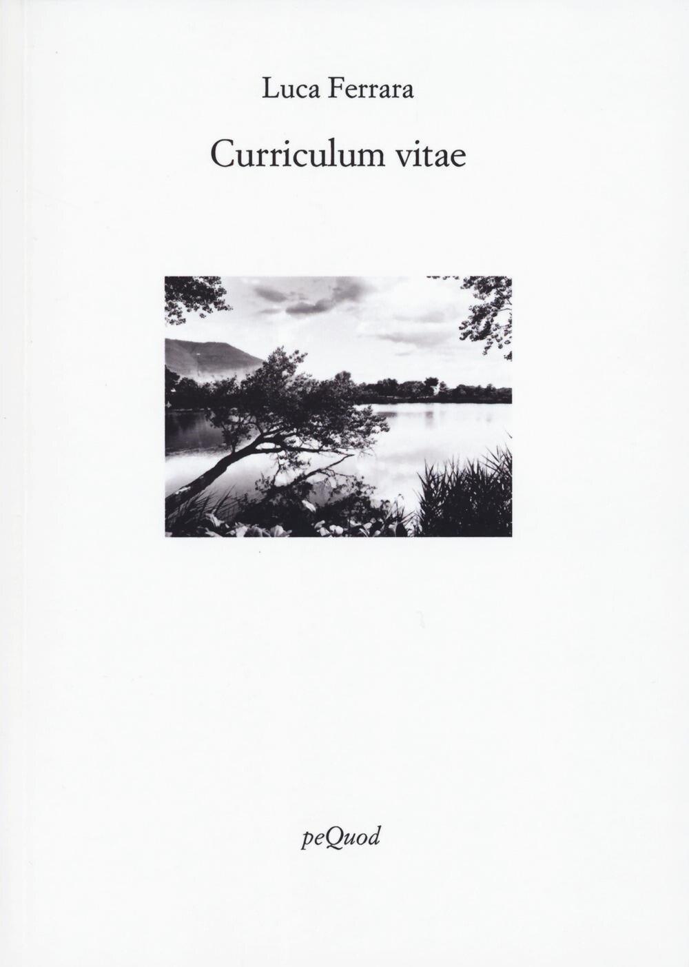 Libri Luca Ferrara - Curriculum Vitae