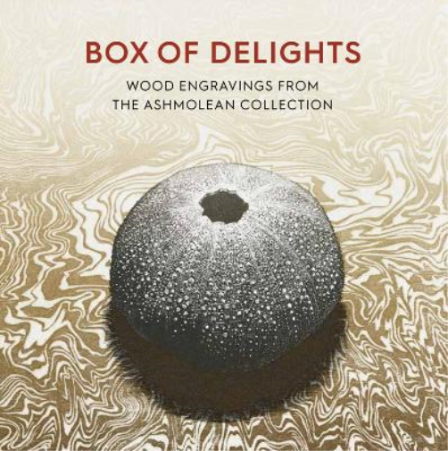Anne Desmet Box of Delights (Tascabile)