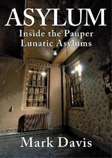 Mark Davis Asylum (Tascabile)