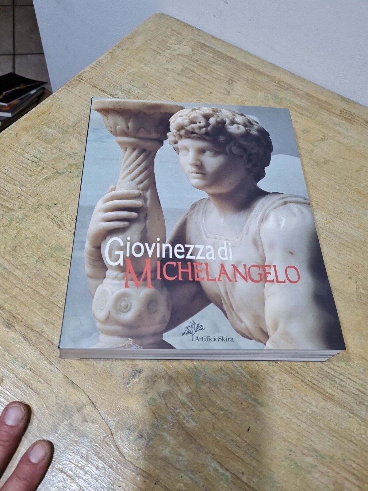 Giovinezza di Michelangelo - Artificio / Skira Firenze / Milano 1999