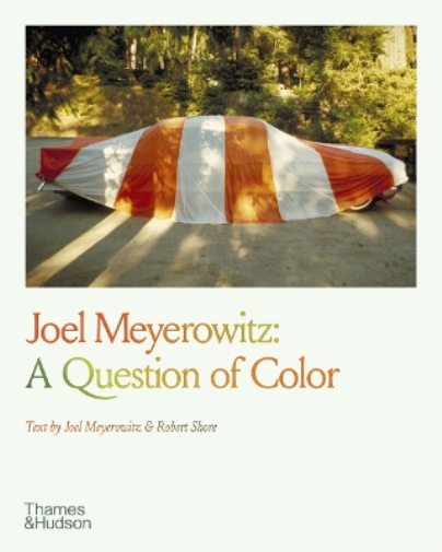 Joel Meyerowitz Robert Shore Joel Meyerowitz: A Question of Color (Tascabile)