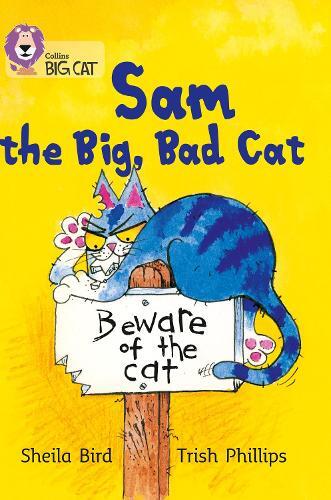 Sheila Bird Sam and the Big Bad Cat (Tascabile) Collins Big Cat