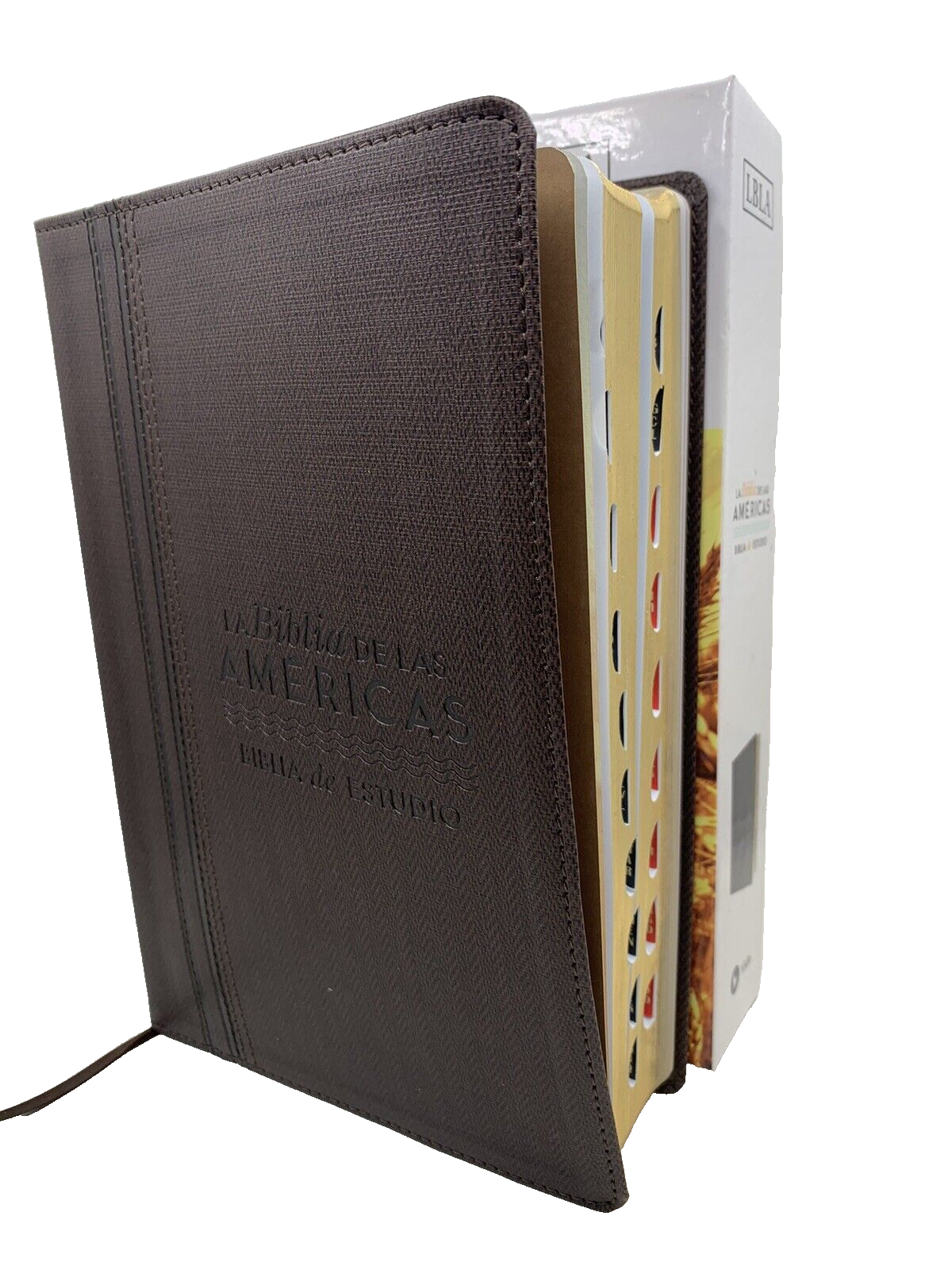 La Biblia De Las Américas - Estudio Chitarra Acustica Lbla Caffè Con Indice