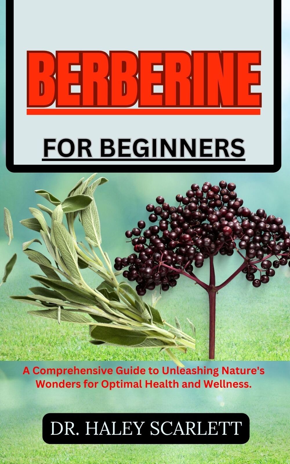 Haley Scarlett Berberine for Beginners (Tascabile)