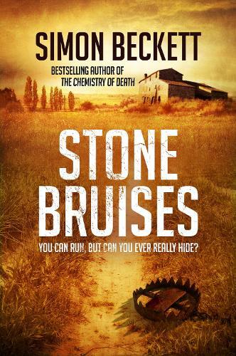 Simon Beckett Stone Bruises (Tascabile)