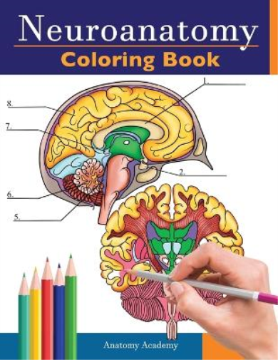 Anatomy Academy Neuroanatomy Coloring Book (Tascabile)