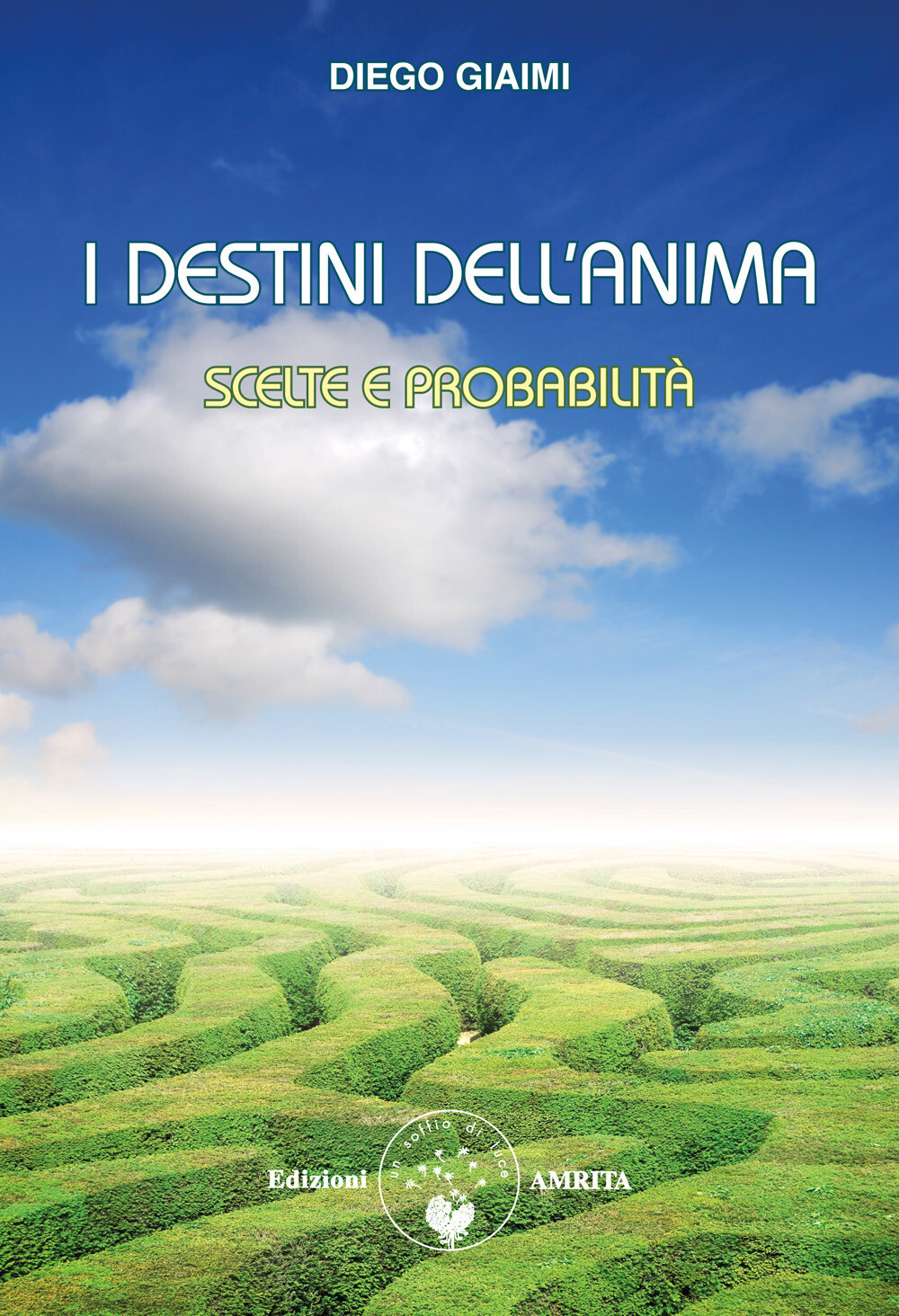 Libri Diego Giaimi - I Destini Dell'anima. Scelte E Probabilita
