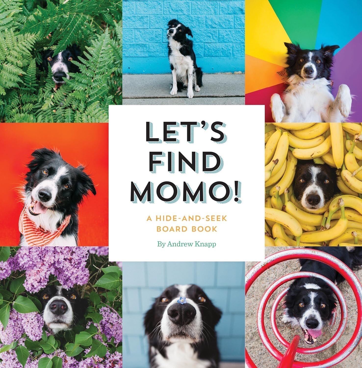 9781594749582 Let's Find Momo!: A Hide-and-Seek Board Book: 3 - Andrew Knapp