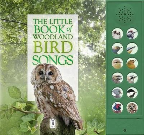 Andrea Pinnington Caz Bucki The Little Book of Woodland Bird  (Libro di cartone)
