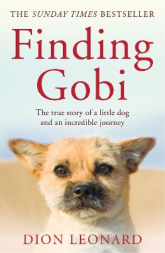 Dion Leonard Finding Gobi (Main edition) (Tascabile)