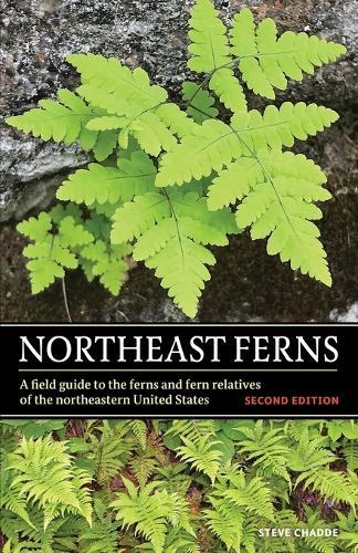 Steve W Chadde Northeast Ferns (Tascabile)