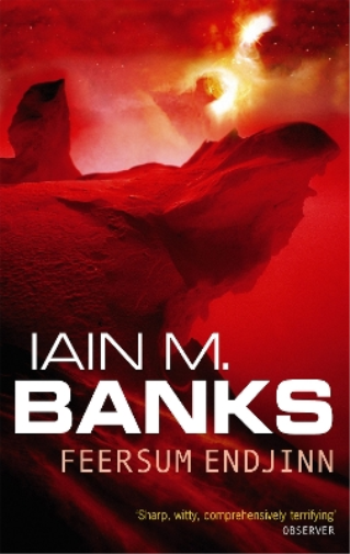 Iain M. Banks Feersum Endjinn (Tascabile)