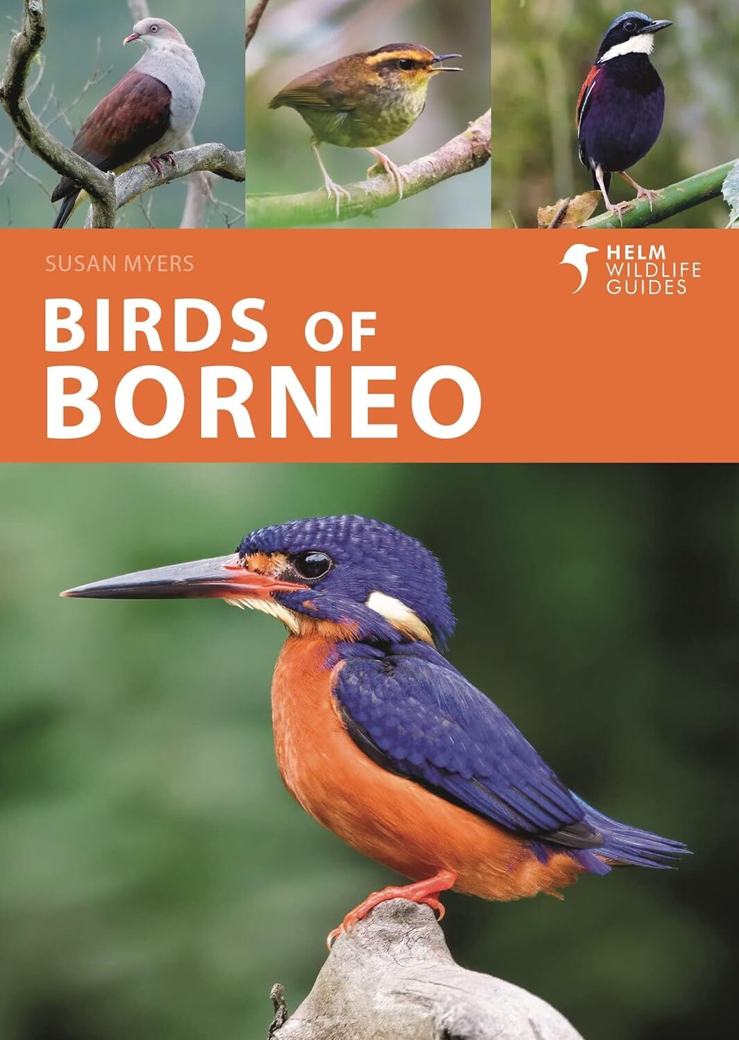9781472986900 Birds of Borneo - Susan Myers