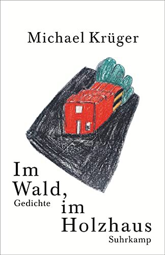 Michael Krüger Im Wald, im Holzhaus: Gedichte (Copertina rigida)