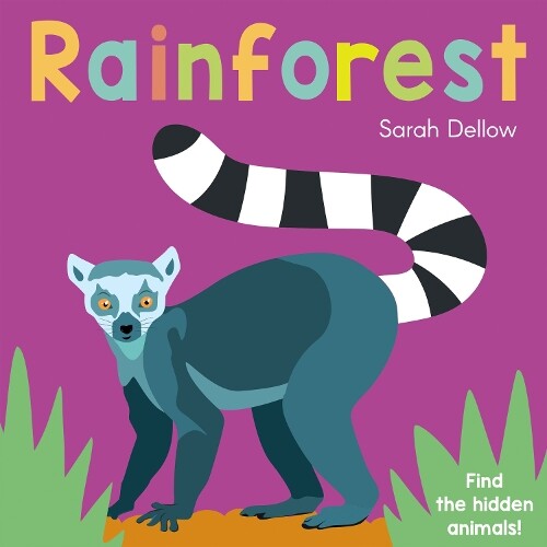Sarah Dellow Now you See It! Rainforest (Libro di cartone) Now You See It!