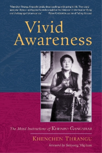 Khenchen Thrangu Vivid Awareness (Tascabile)