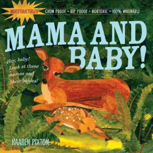 Kaaren Pixton Amy Pixton Indestructibles: Mama and Baby! (Tascabile)