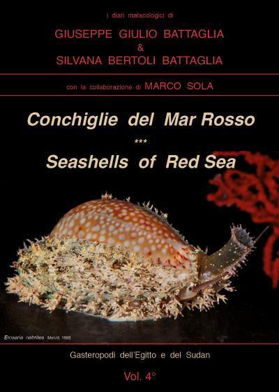 9791220337809 Conchiglie del Mar Rosso - Red Sea's Seashelles - Giuseppe Giulio