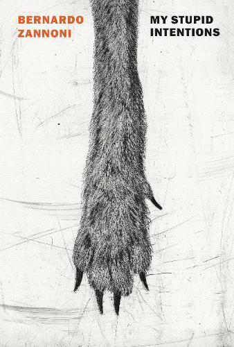 Bernardo Zannoni My Stupid Intentions (Tascabile)