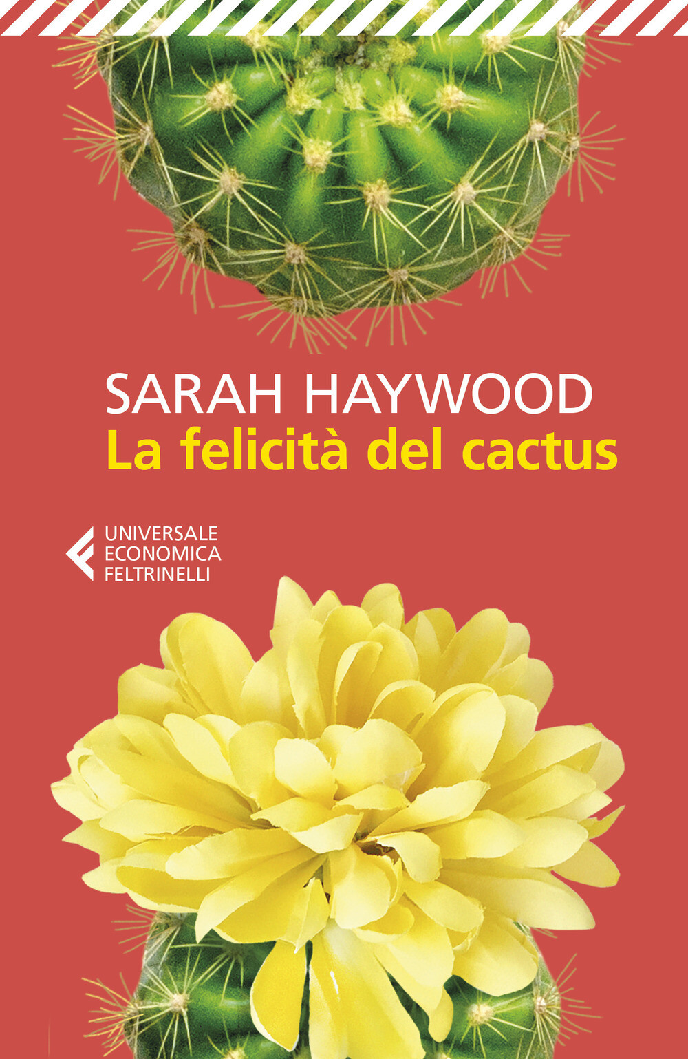 La felicità del cactus - Haywood Sarah