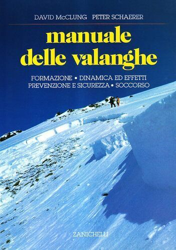 Manuale delle valanghe. Formazione. Dinamica ed effetti. Prevenzione e sicure...