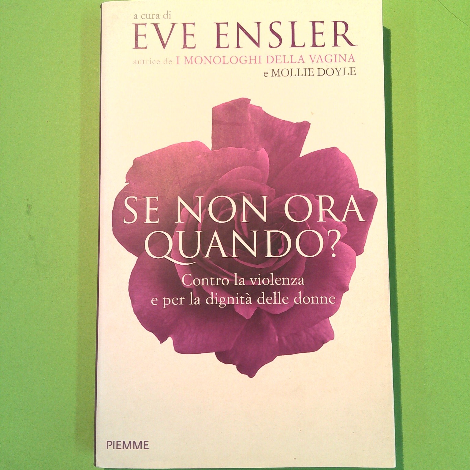 SE NON ORA QUANDO ENSLER DOYLE PIEMME