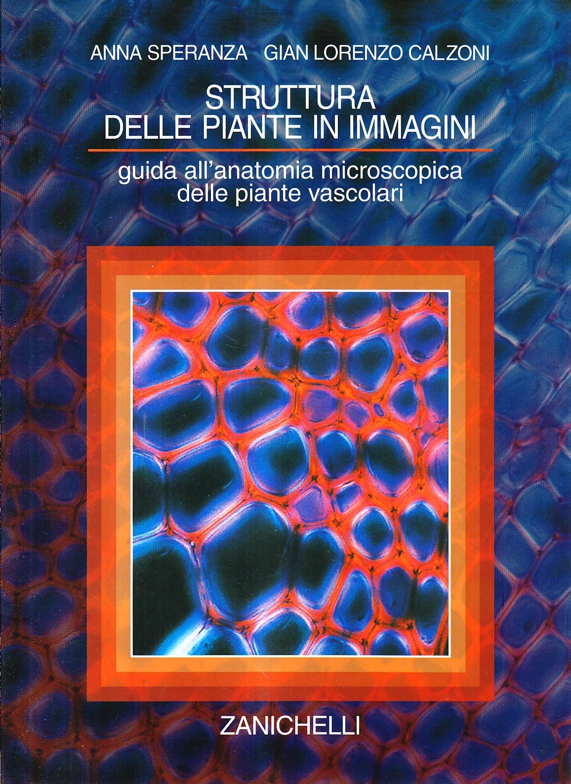 9788808089045 Struttura delle piante in immagini. Guida all'anat...nte vascolari